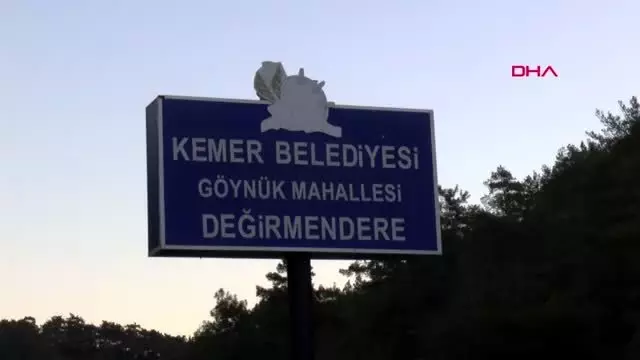 Kontrolden çıkan otomobil ağaca çarptı: 3 yaralı Kontrolden çıkan otomobil ağaca çarptı: 3 yaralı