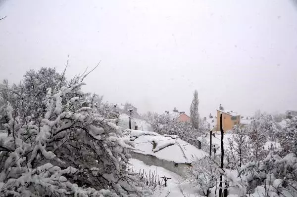 Tunceli'de 200 köy yolu kardan kapandı Tunceli'de 200 köy yolu kardan kapandı