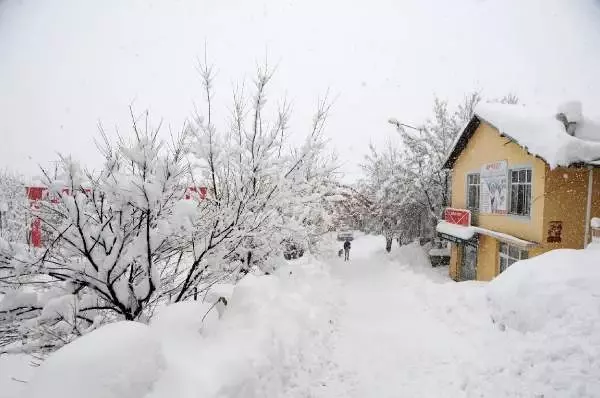 Tunceli'de 200 köy yolu kardan kapandı Tunceli'de 200 köy yolu kardan kapandı