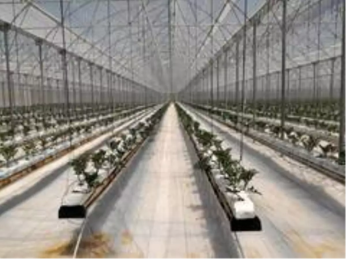 Kırsal Ekonomik Yatırım Projesi kapsamında Antalya'ya 32 milyon TL hibe