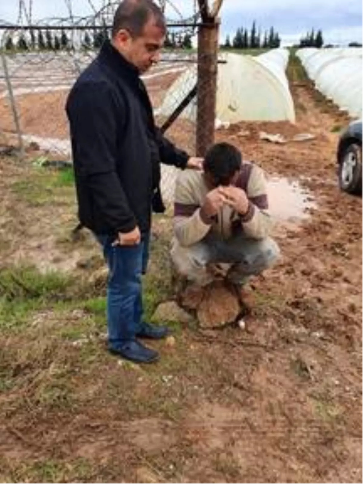 Adana'da seradan hırsızlık iddiası