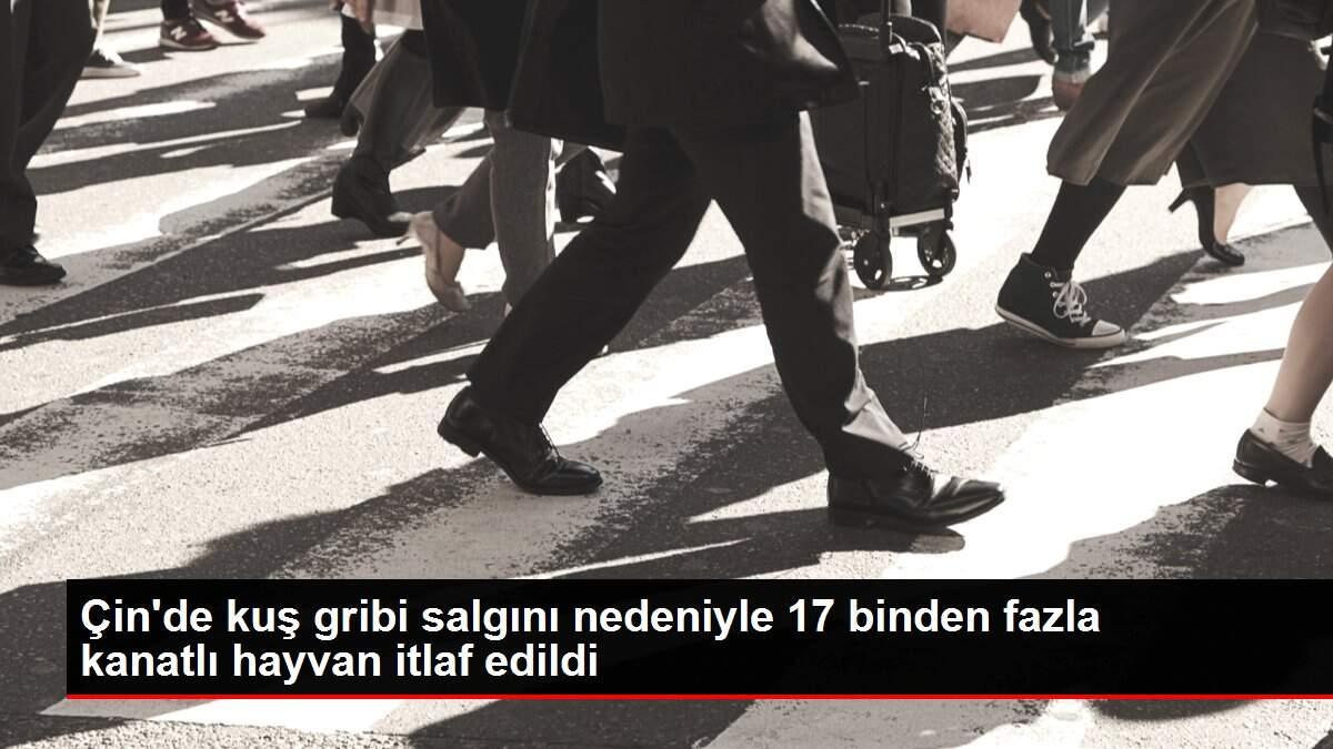 Cin De Kus Gribi Salgini Nedeniyle 17 Binden Fazla Kanatli Hayvan Itlaf Edildi Haber