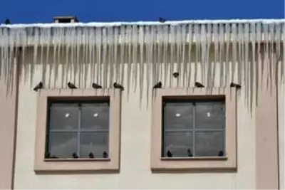 Doğu'da dondurucu soğuk, kar yağışı ve tipi yaşamı olumsuz etkiliyor Doğu'da dondurucu soğuk, kar yağışı ve tipi yaşamı olumsuz etkiliyor