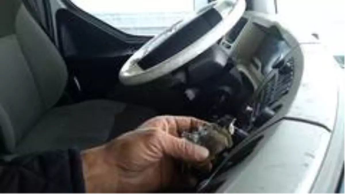 Kuş donarak ölse de yaptığı hareket yürekleri ısıttı