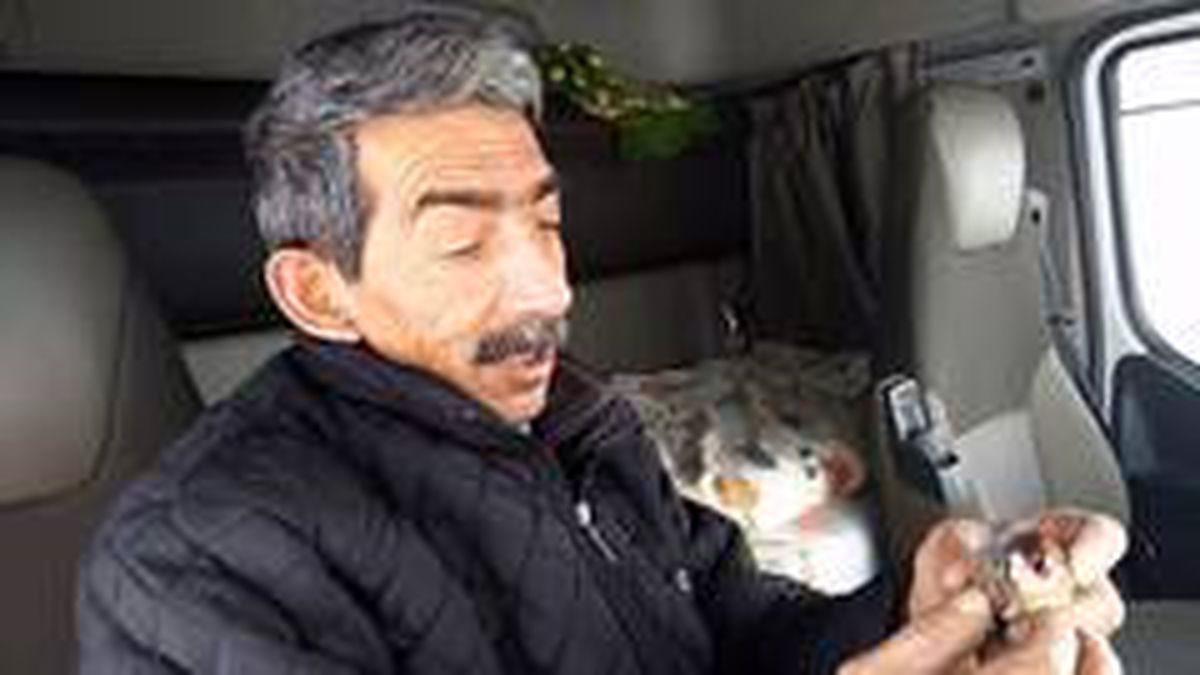 Kuş donarak ölse de yaptığı hareket yürekleri ısıttı