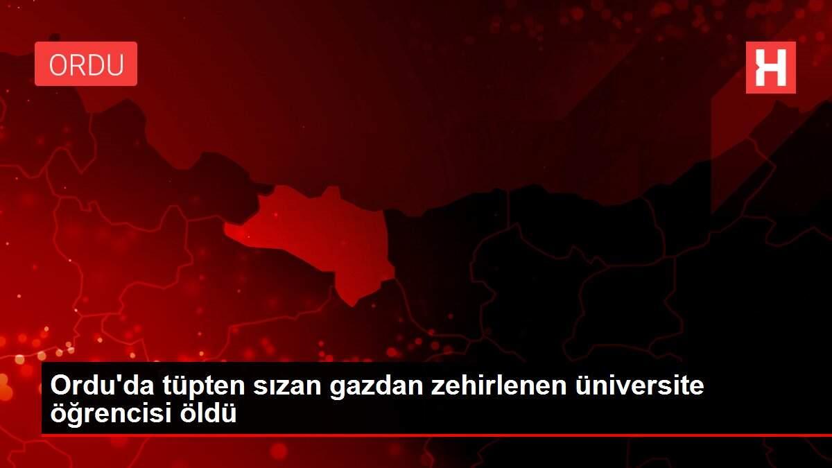 Kumru Haber Kumru Son Dakika Haberleri Haberler