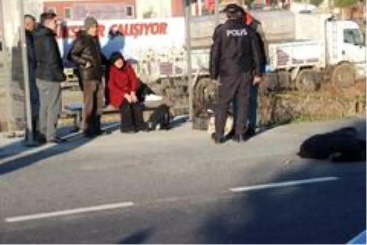 Otobus Duraginda En Aci Bekleyis Aydin