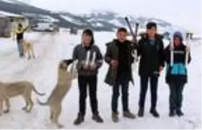 Palandöken'de kornişli kayak Palandöken'de kornişli kayak