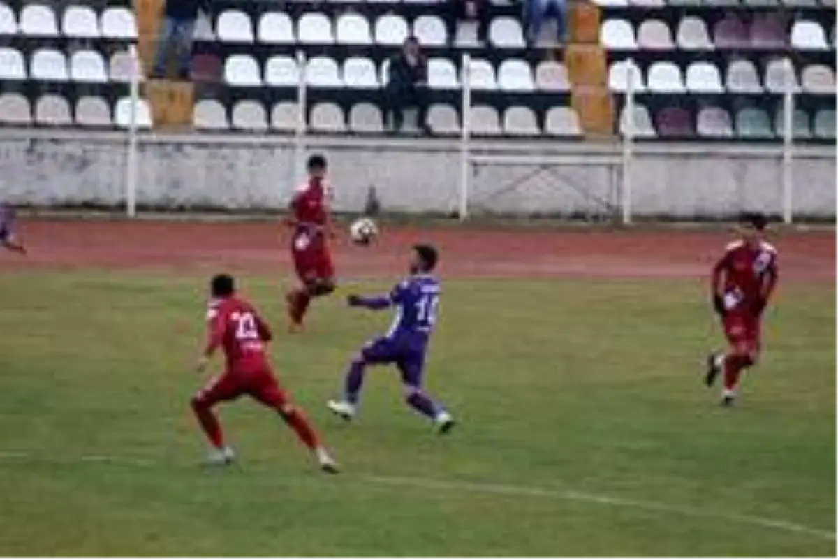TFF 3. Lig: Tokatspor: 1 - Artvin Hopaspor: 3