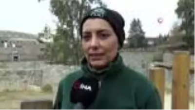 Zırhlı Hint Gergedan'ı Samir'in ayak bakımı keyfi Zırhlı Hint Gergedan'ı Samir'in ayak bakımı keyfi