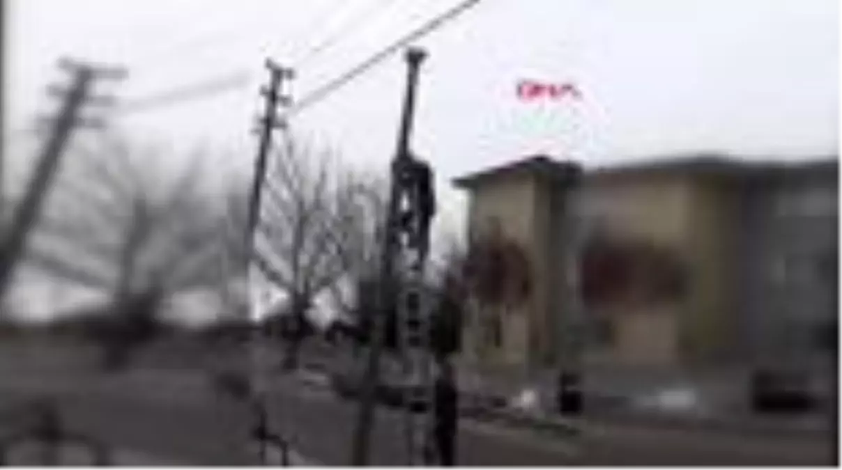 Afyonkarahisar köpekten korkup direğe tırmanan kedi, donmak üzereyken kurtarıldı