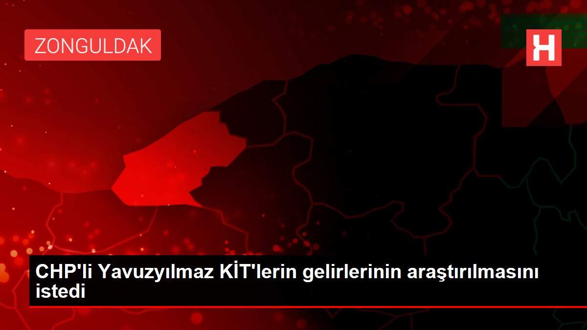 CHP'li Yavuzyılmaz KİT'lerin gelirlerinin araştırılmasını istedi