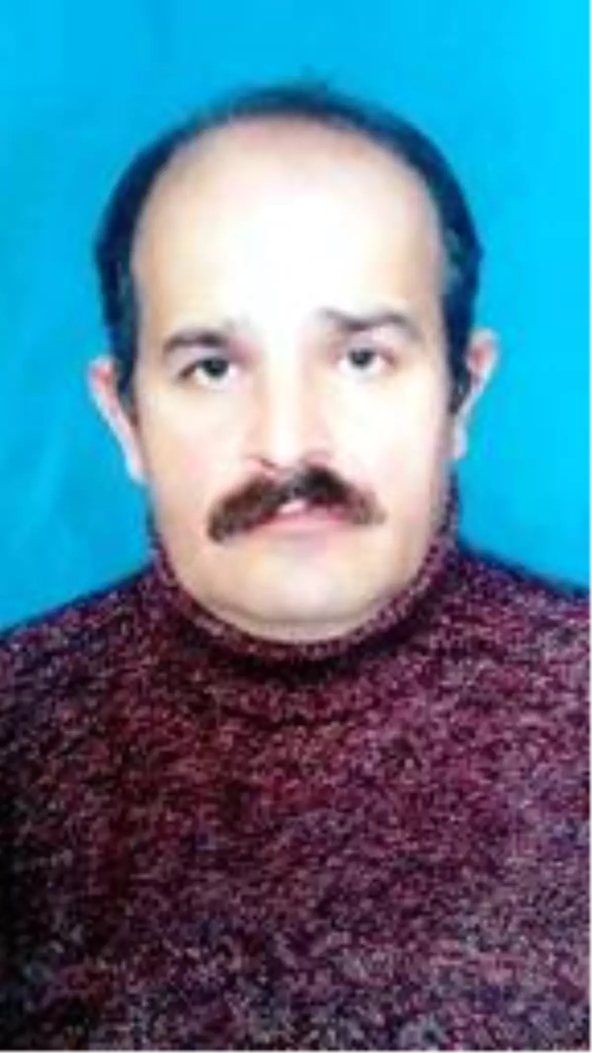 Dedi Dedi