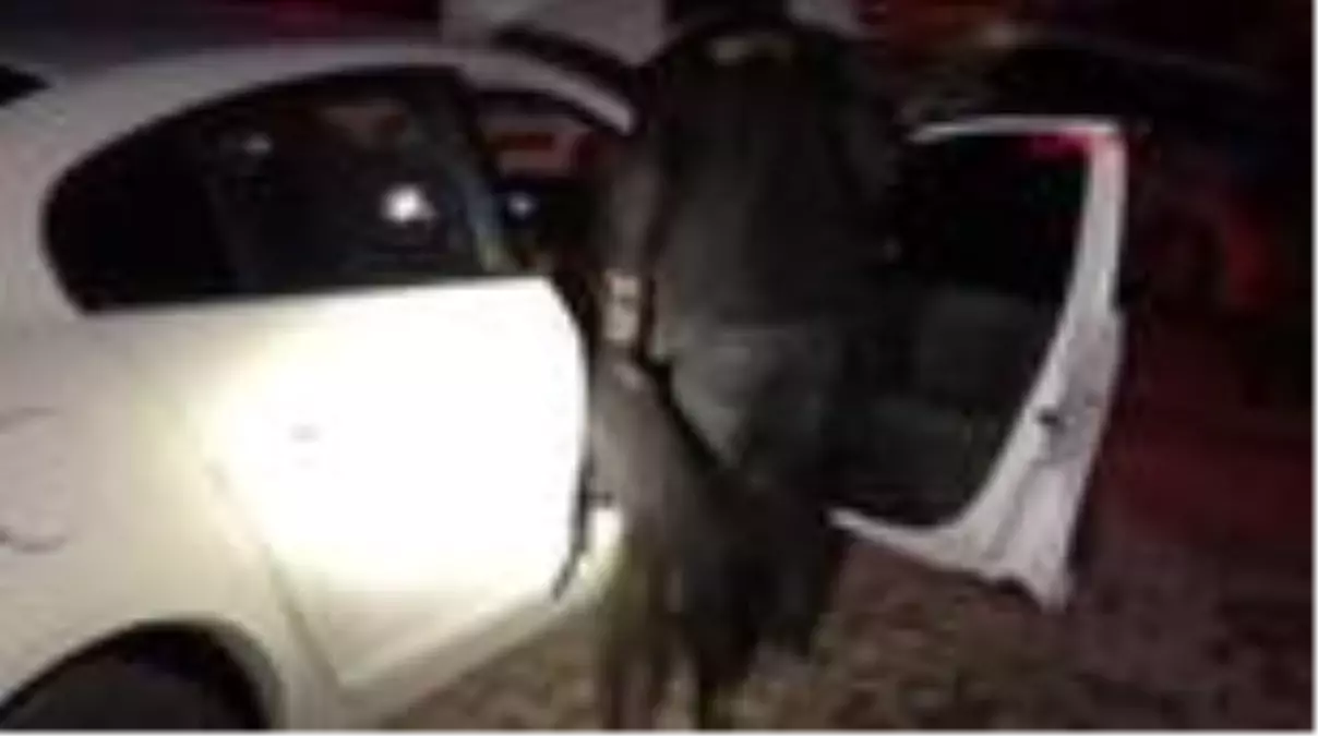 Gaziantep'te uyuşturucu operasyonu: 2 gözaltı