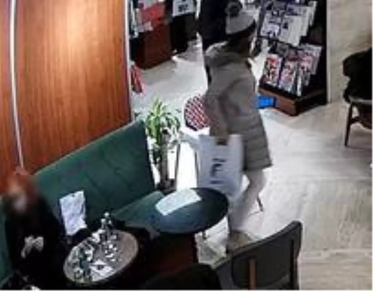 Yazar Nazlı Eray'a hırsız şoku