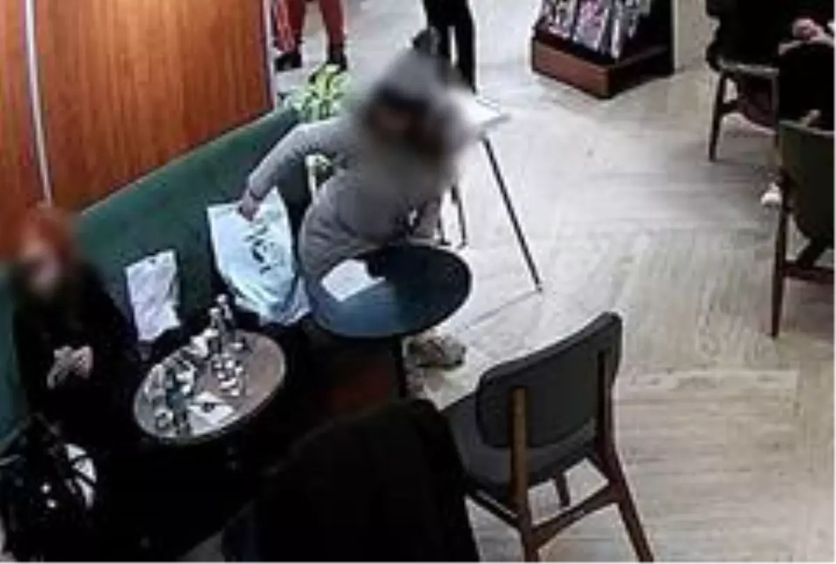 Yazar Nazlı Eray'a hırsız şoku