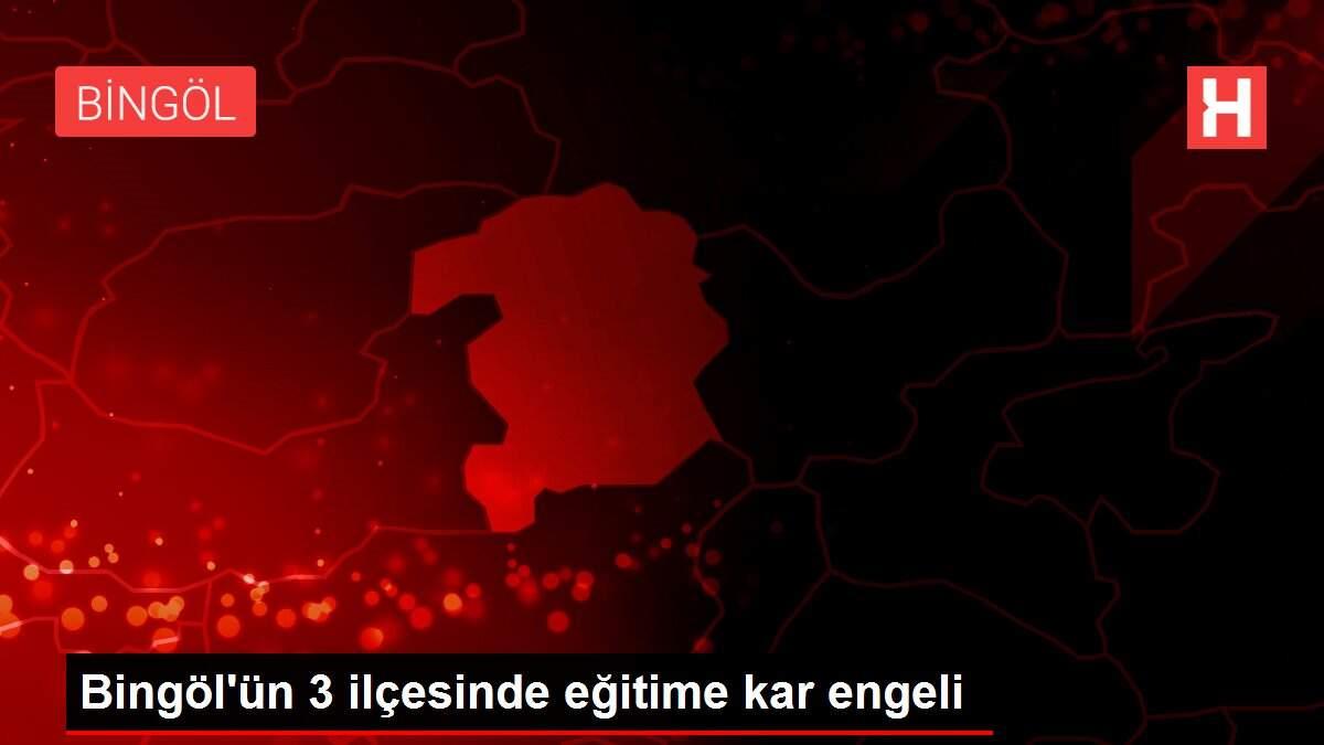 Bingöl'ün 3 ilçesinde eğitime kar engeli