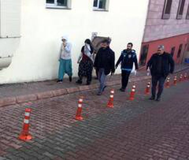Ev fareleri yakalandı Haberler