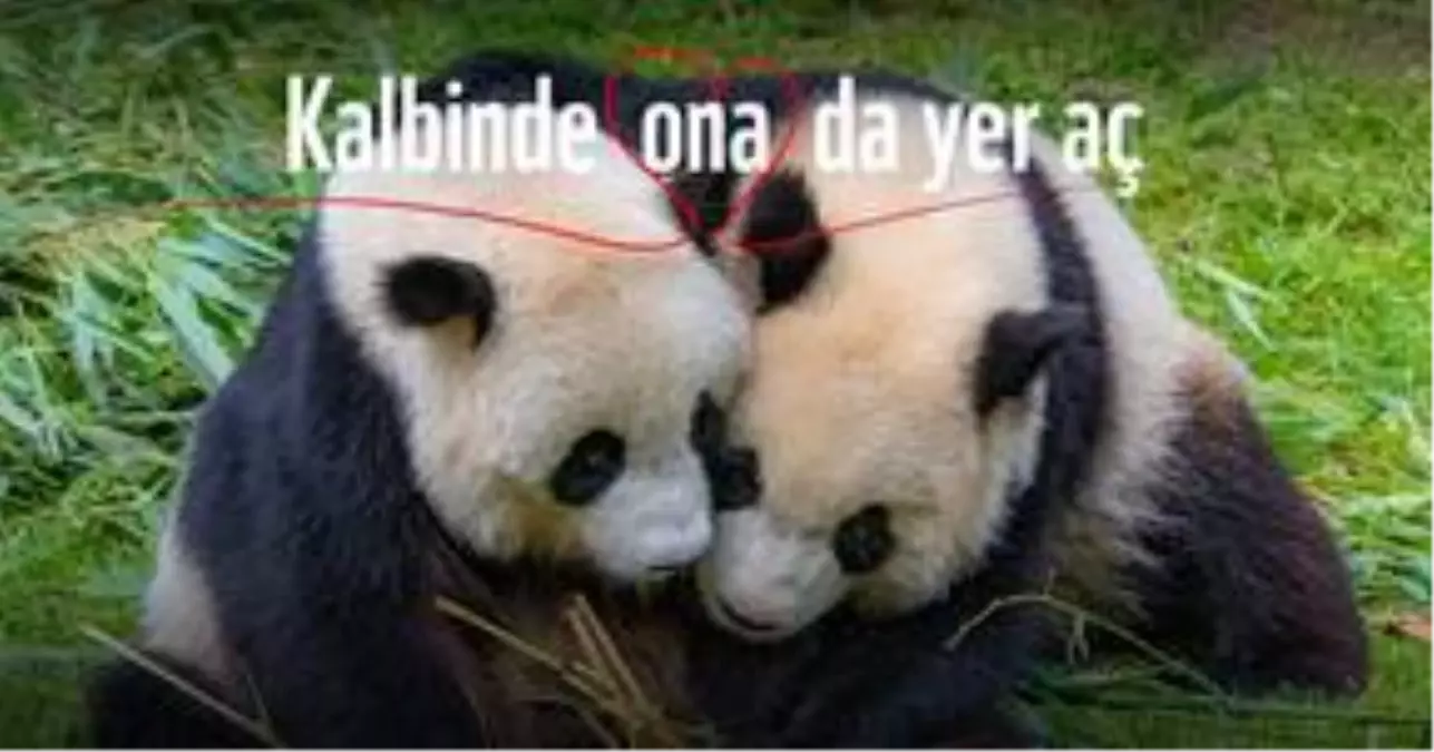 Kalbinizde Onlara da Yer Açın
