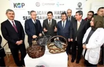 Karatay'da hasır ve sepet sanatı yeniden canlandı