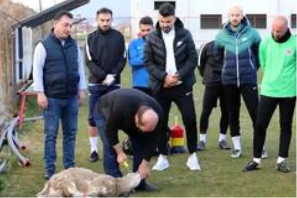 Menemenspor kötü gidişat için kurban kesti