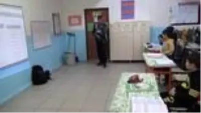 Öğrencilerin sokakta bulduğu kediler 'Boncuk' ve 'Badem' okulun maskotu oldu Öğrencilerin sokakta bulduğu kediler 'Boncuk' ve 'Badem' okulun maskotu oldu