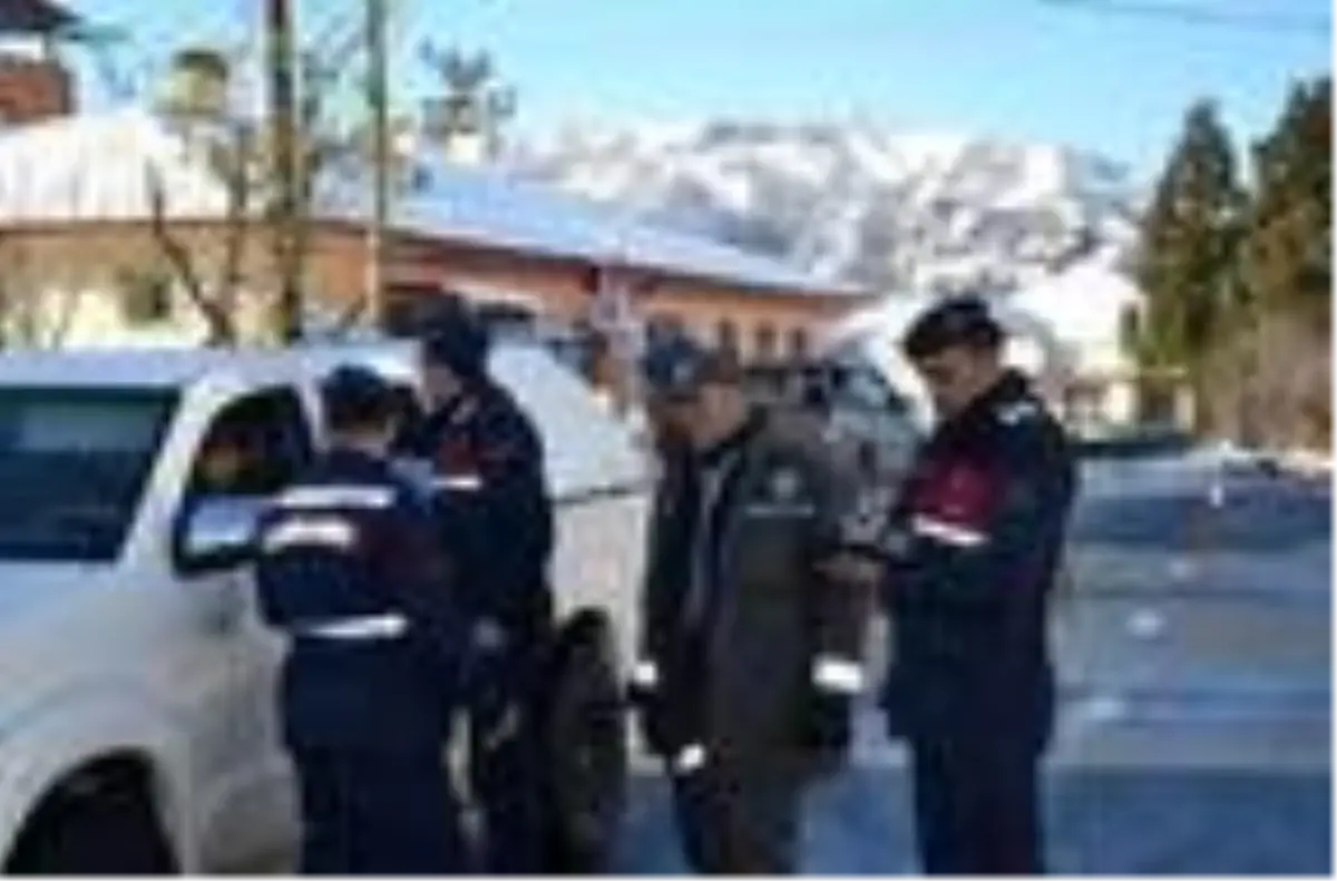 Rize'de yaban hayvanları için doğaya yem bırakıldı