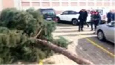 Ordu'da fırtına çatıları uçurdu; ilçelerde okullar tatil edildi