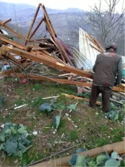 Ordu'da fırtına hasara yol açtı