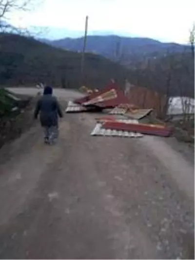 Ordu'da okullara fırtına tatili