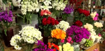 Çiçek tezgahlarında türk- hollanda gülü tartışması