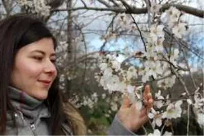 Datça, 'Badem Çiçeği' şenliği ile ısındı Datça, 'Badem Çiçeği' şenliği ile ısındı