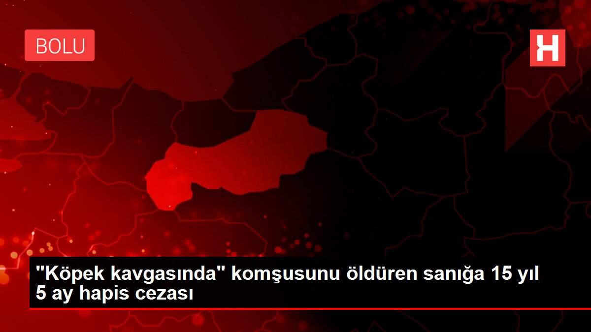 'Köpek kavgasında' komşusunu öldüren sanığa 15 yıl 5 ay hapis cezası