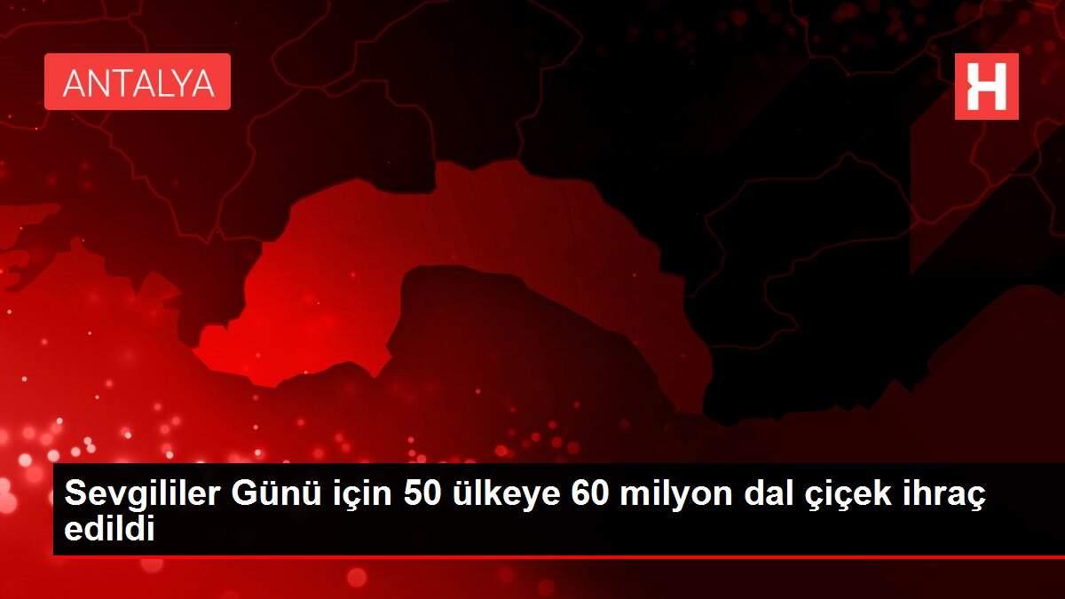 Sevgililer Günü için 50 ülkeye 60 milyon dal çiçek ihraç edildi