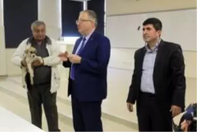 Yavru köpekler hukuk dersinde