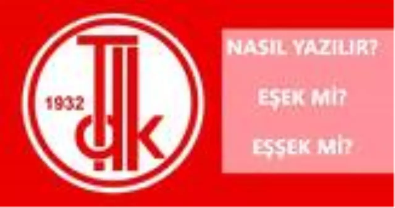 Eşek nasıl yazılır? TDK'ya göre eşek mi, eşşek mi? Eşek ne demek?