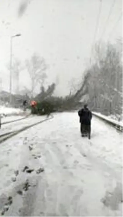 Kapanan Yenice yolu yeniden trafiğe açıldı Kapanan Yenice yolu yeniden trafiğe açıldı