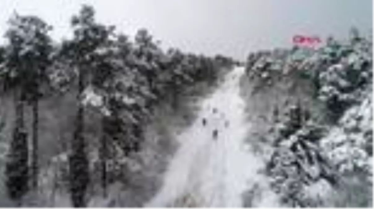 Kocaeli beyaza büründü