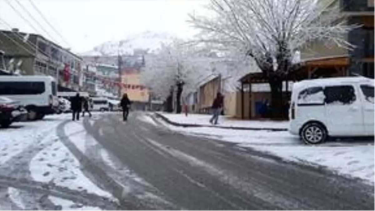 Kulp'ta kar yağışı hayatı olumsuz etkiledi