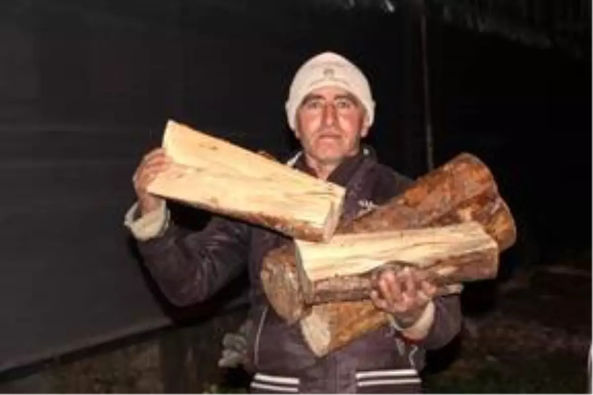 Antalya'da seralarda 'zirai don' nöbeti