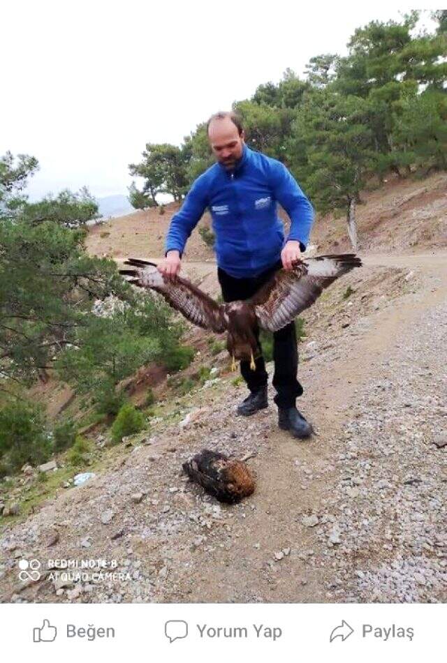 Avladığı şahinin fotoğrafını sosyal medyada paylaşınca 12 bin lira ceza kesildi