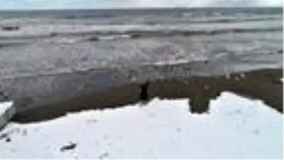 Karadeniz'de kar esareti; okullar tatil