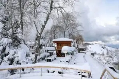 Karadeniz'de kar yağışı etkili oluyor Karadeniz'de kar yağışı etkili oluyor