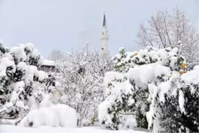 Karadeniz'de kar yağışı etkili oluyor Karadeniz'de kar yağışı etkili oluyor