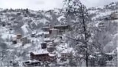 Karadeniz'de kar yağışı etkili oluyor