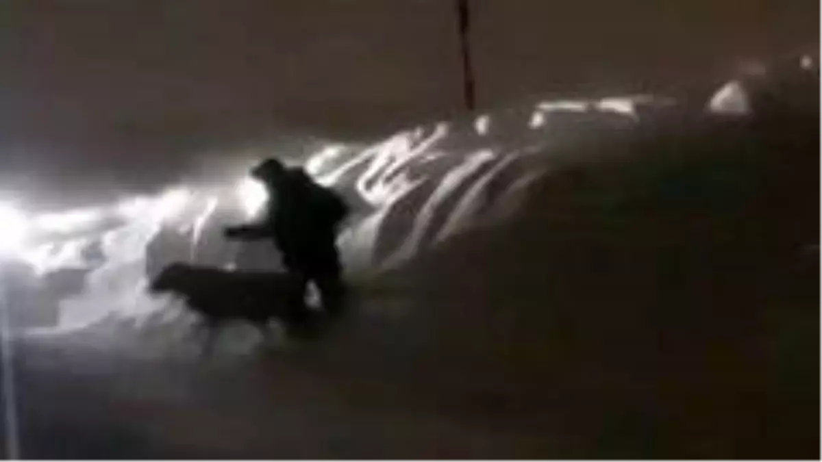 Sivas'ta iki farklı kar manzarası