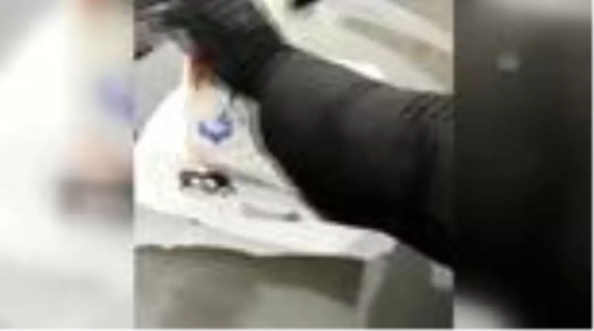 Tarihi eser kaçakçılığı operasyonu