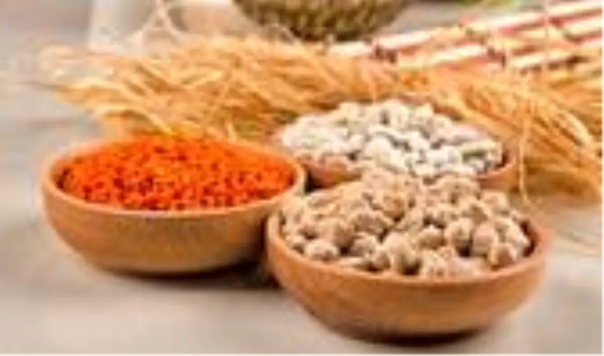 TMO'dan bakliyat üreticisine alım mesajı