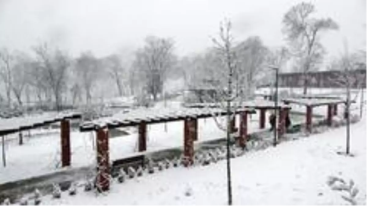 Trabzon'da okullara kar tatili