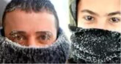 Ardahan'da Sibirya soğukları! Termometreler eksi 31'i gördü Ardahan'da Sibirya soğukları! Termometreler eksi 31'i gördü